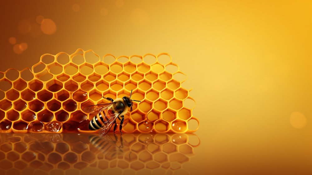A honeycomb full of honey, and a honeybee sitting on it